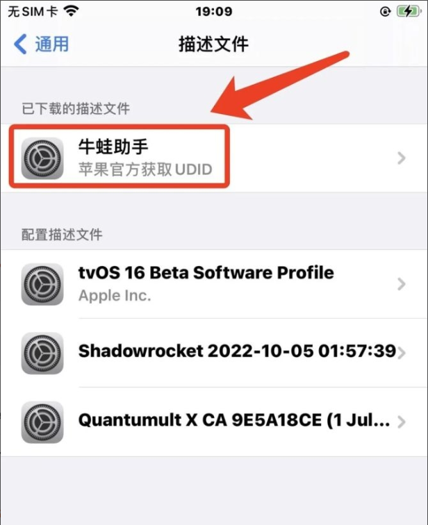 图片[6]IPA资源下载-IPA驿站-IPA免费下载站-ipa资源-ipa文件-ipa下载-安卓软件免费下载-苹果绿色软件-ipa游戏资源-开心版软件-巨魔插件-iPhone苹果绿色软件牛蛙助手最新 自签工具 【保姆及教程】 - IPA资源站长IPA资源下载-IPA驿站-IPA免费下载站-ipa资源-ipa文件-ipa下载-安卓软件免费下载-苹果绿色软件-ipa游戏资源-开心版软件-巨魔插件-iPhone苹果绿色软件苹果IPA资源下载-IPA驿站官网|免费提供VIP免装软件/iOS游戏资源下载及玩机教程