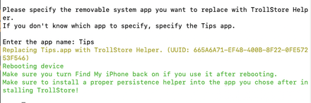 iOS17.0安装TrollStore巨魔商店2教程插图 iOS17.0安装TrollStore巨魔商店2教程插图