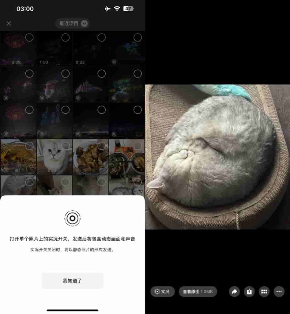 WaChat插件：强开私聊发送Live图片插图