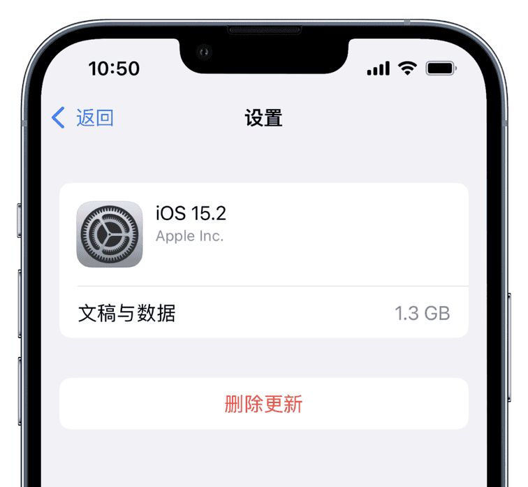 iOS更新去除顽固的设置小红点 操作教程插图