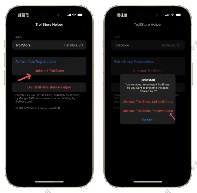 TrollStore 巨魔增强版更新：提取安装包·注入x件·删除账号插图