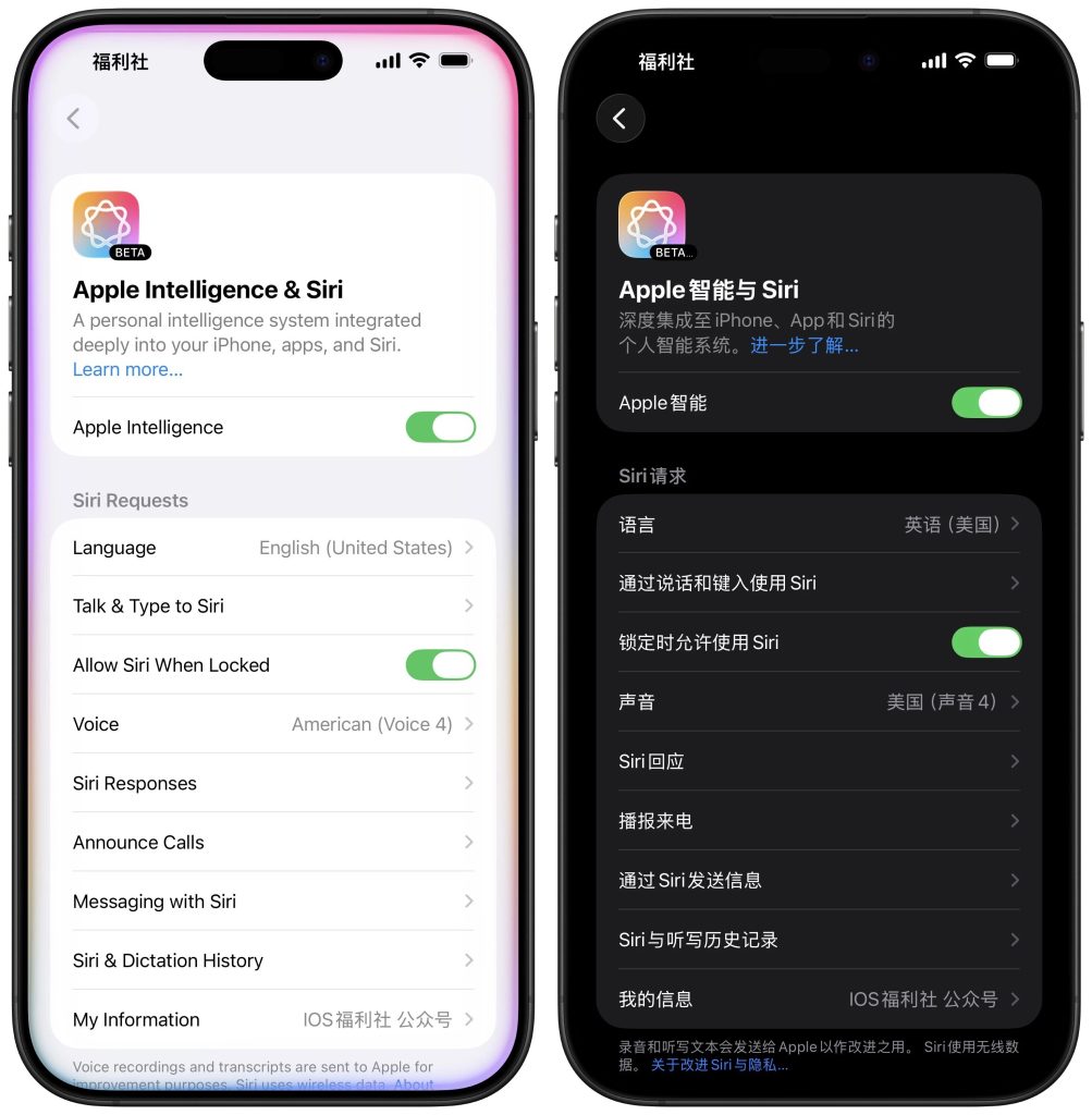 国行 iOS26.1强开苹果AI 保姆级教程插图