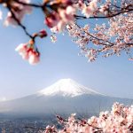 l496015330的头像|IPA资源下载|IPA宝库|IPA商店